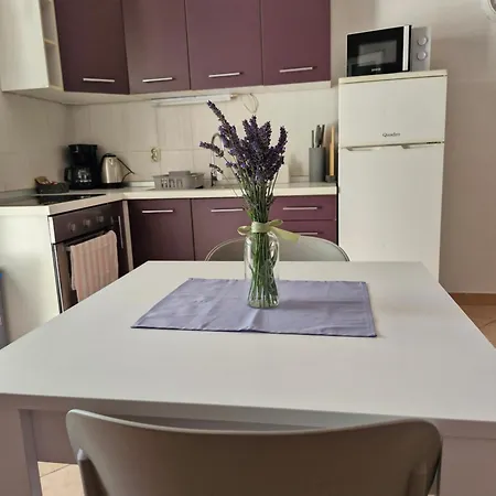 Lucija Apartamento Seline
